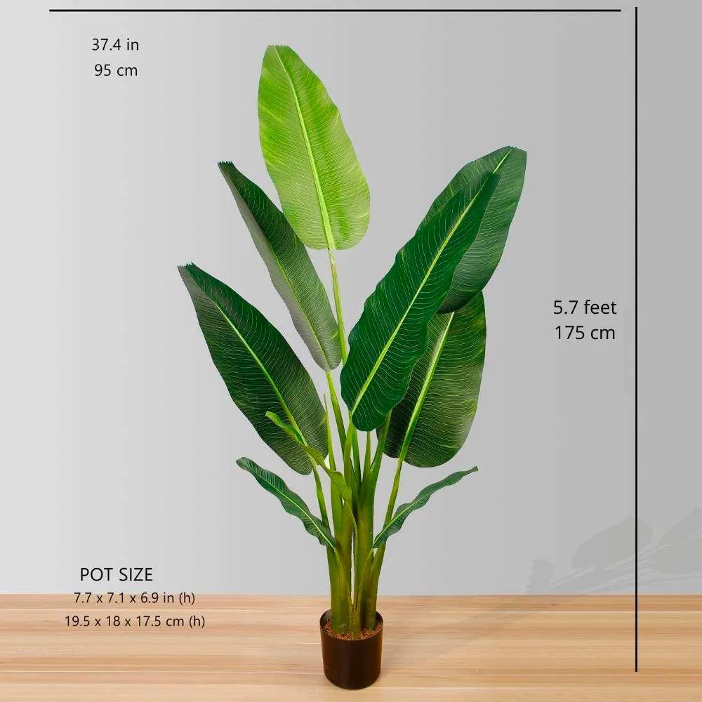Du khách nhân tạo cây cọ cây chậu cây