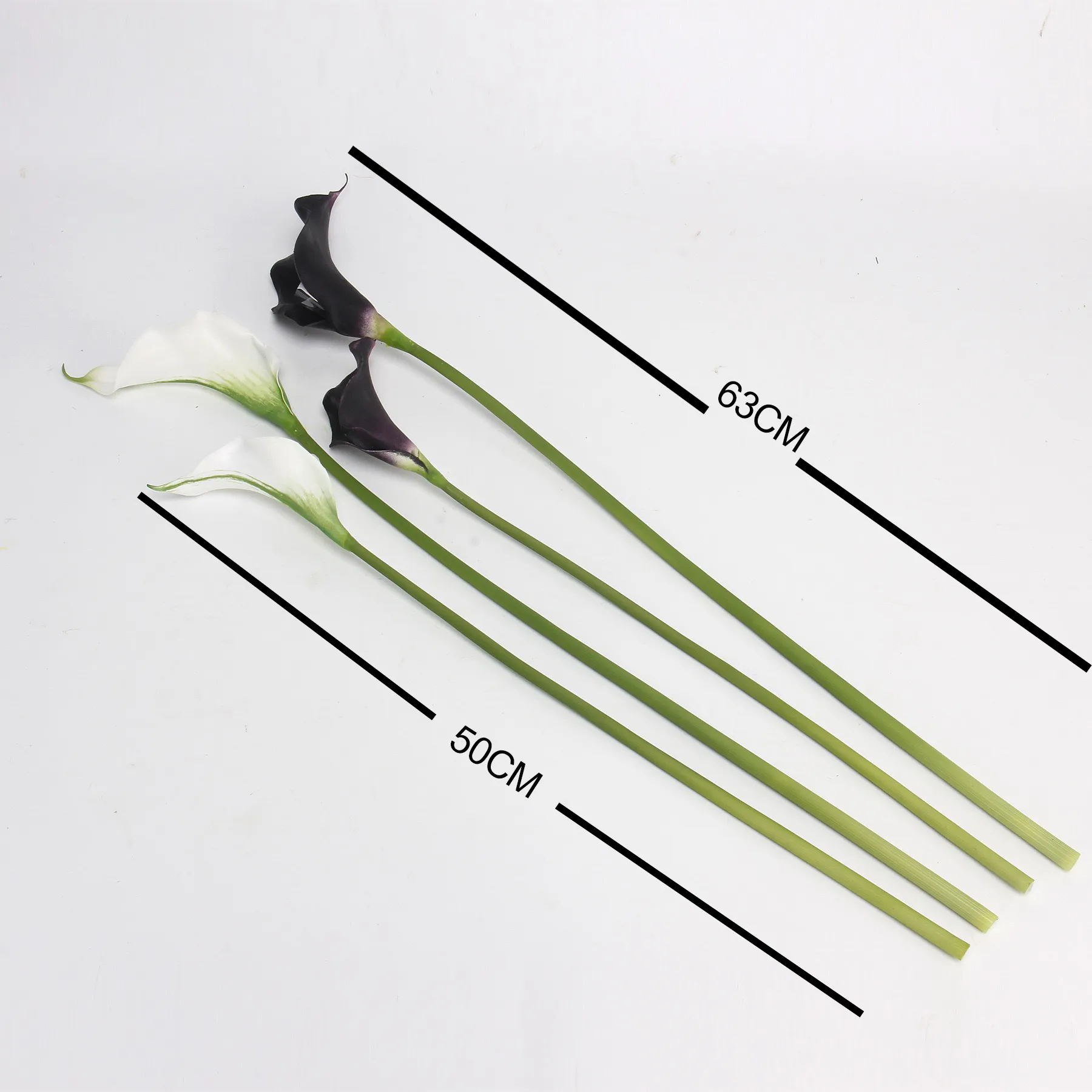 Calla lily