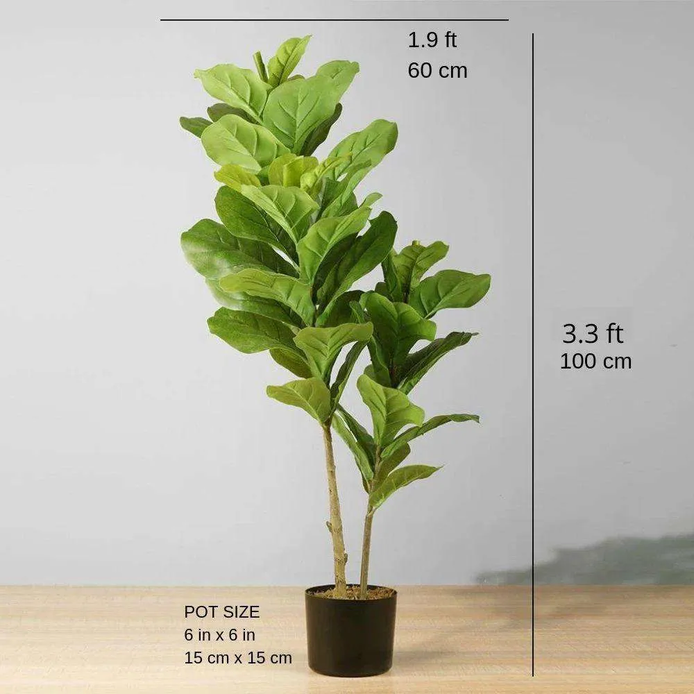 Cây chậu lá nhân tạo phong phú (nhiều kích thước）