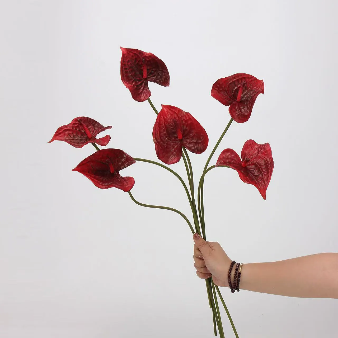 lòng cọ anthurium