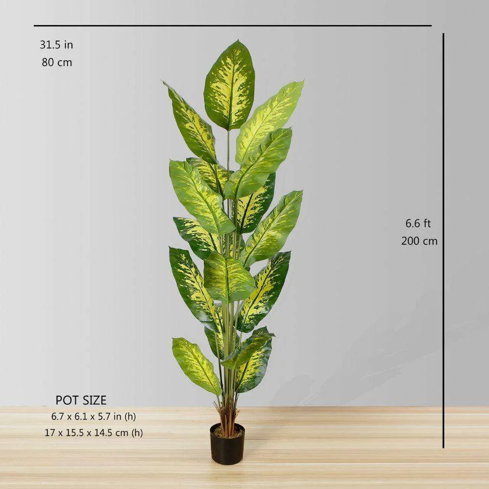 Cây thường xanh nhân tạo